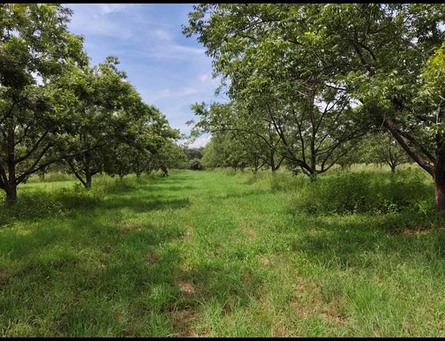 96HA FARM FOR SALE IN HEKPOORT